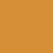 1347L Shiny khaki orange