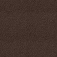 1136350 leather with dark brown grain