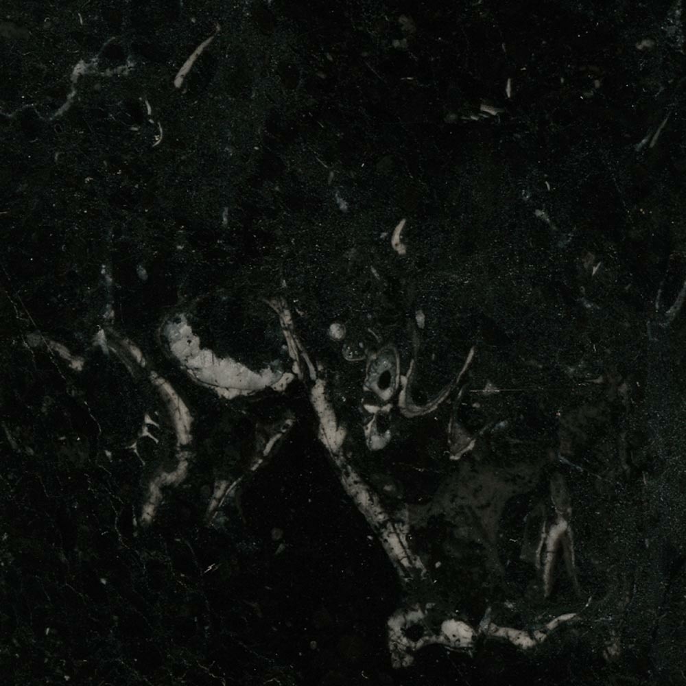 Glossy Marquinia black marble [+¥884,400]