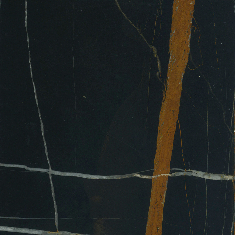 Glossy Sahara noir marble [+¥948,200]