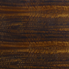 Glossy frisé eucalypt [+¥1,413,500]